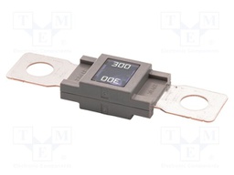 Fuse: fuse; 300A; 32VDC; automotive; 68mm; M8 screw; 68x18.3mm