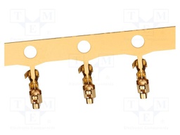 Connector: wire-board