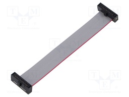 Ribbon cable with IDC connectors; Tape ph: 0.64mm; 76.2mm
