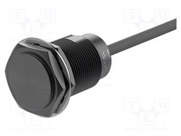 Sensor: inductive; OUT: NPN / NO; 12mm; 10÷30VDC; M30; IP66; 100mA
