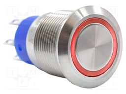 Switch: vandal resistant; DPDT; 3A/250VAC; IP67; ON-(ON); 3V; Ø19mm