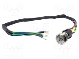 Switch: vandal resistant; DPDT; 3A/250VAC; IP67; ON-ON; blue; 24V
