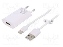 Power supply: switched-mode; voltage source; 5VDC; 1A; 5W; plug