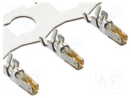 Wire-board