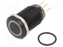 Switch: vandal resistant; Pos: 2; SPDT; 3A/220VAC; 5A/24VDC; IP65