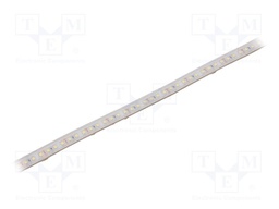 LED tape; white cold; 2835; 12V; LED/m: 120; 10mm; white PCB; IP65