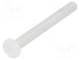 Screw; M2x16; 0.4; Head: cheese head; slotted; 0,6mm; polyamide