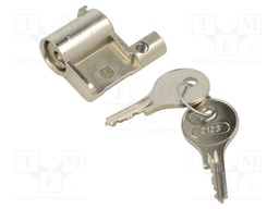 Insert for lock
