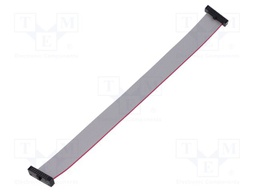 Ribbon cable with IDC connectors; Tape ph: 0.64mm; 165.1mm