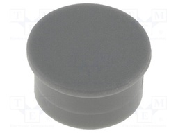 Cap; thermoplastic; push-in; grey
