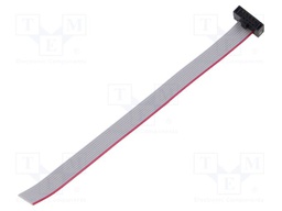 Ribbon cable with IDC connectors; Tape ph: 0.64mm; 101.6mm