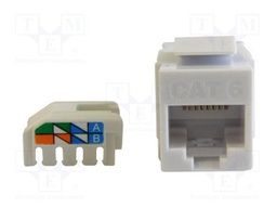 SS-82010-002