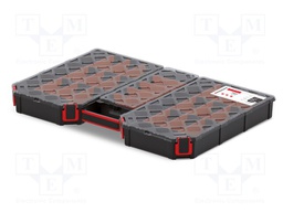 Container: collective; with partitions; black; TAGER CARBO; low