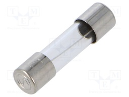 Fuse: fuse; time-lag; 5A; 250VAC; cylindrical,glass; brass