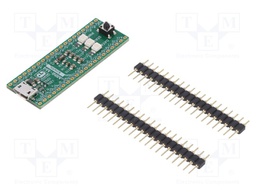 Dev.kit: ARM NXP; In the set: prototype board