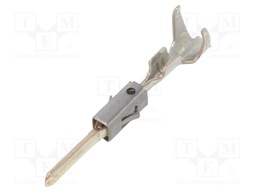 Contact; male; 1.6x0.6mm; silver plated; 0.2÷0.5mm2; 24AWG÷20AWG