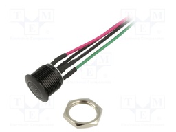 Switch: vandal resistant; Pos: 2; SPST-NO; 2A/36VDC; IP67; OFF-(ON)