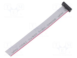 Ribbon cable with IDC connectors; Tape ph: 0.64mm; 101.6mm