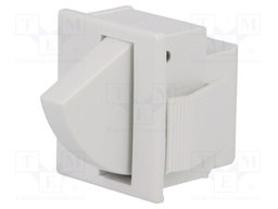 Switch: door; Pos: 2; SPDT; 5A/250VAC; Leads: 4,8x0,5mm connectors