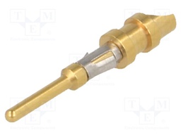 Contact; male; 20AWG÷18AWG; Buccaneer 6000,Buccaneer 7000; brass
