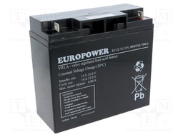 Re-battery: acid-lead; 12V; 20Ah; AGM; maintenance-free