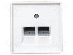 Cover; UAE/IAE (ISDN) sockets,intelligent house; E-Design55
