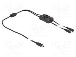 Cable; USB C plug,DC 5,5/2,1 socket x2; straight; black; 1m; 10W