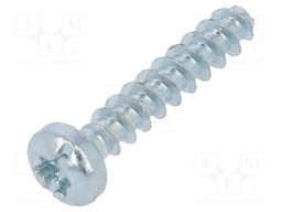Screw; for plastic; 3x16; Head: cheese head; Torx®,slotted; steel