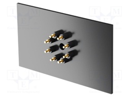Rear panel
