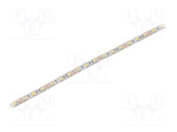 LED tape; white cold; 5050; 12V; LED/m: 60; 10mm; white PCB; IP64