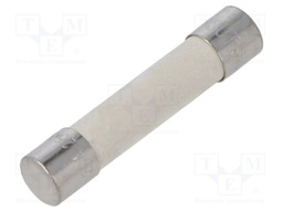 Fuse: fuse; time-lag; 25A; 250VAC; ceramic,cylindrical; SUT