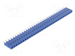 Connector: PCB to PCB; straight; PIN: 32; THT; female; THT; socket