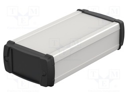 Enclosure: with panel; BOS-Ecoline; X: 80mm; Y: 150mm; Z: 42mm; IP40