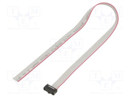 Ribbon cable with IDC connectors; Tape ph: 0.64mm; 254mm