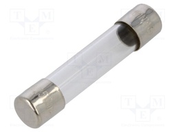 Fuse: fuse; 250mA; 250VAC; glass; 6.35x31.8mm; brass; bulk