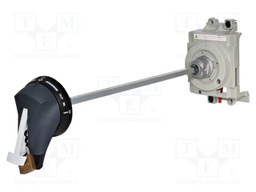 Door handle; outside; black; Additional functions: key lock