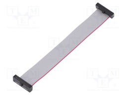 Ribbon cable with IDC connectors; Tape ph: 0.64mm; 101.6mm