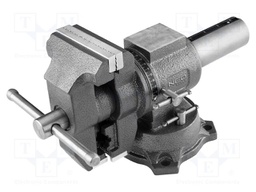 Vice; 100mm; twistable,with anvil