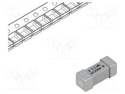Fuse: fuse; quick blow; 2.5A; 250VAC; SMD; ceramic; 464