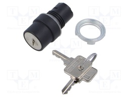 Switch: rotary with key; 22mm; Stabl.pos: 2; none; IP65; prominent
