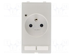 Plug socket module France (UTE)