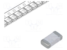 Fuse: fuse; time-lag; 5A; 32VDC; SMD; ceramic; Case: 1206; SFS