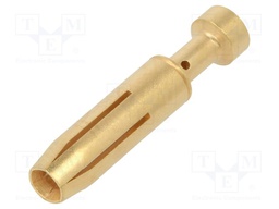 H-BE BCEM AU 0.75-1.0 FEMALE CONT (100)