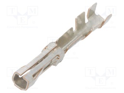 AMP MODU II RCPT CONT COSI LP