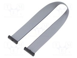 Ribbon cable with IDC connectors; IDC,both sides; Tape ph: 1mm