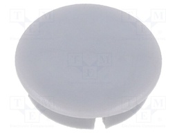Cap; Colour: grey; Mounting: push-in; Mat: plastic