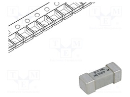 Fuse: fuse; quick blow; 2A; 250VAC; SMD; ceramic; 464
