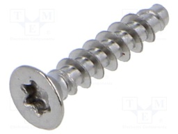 Screw; for plastic; 2.5x12; Head: countersunk; Torx®; TX08; BN 2043