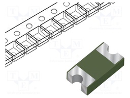 Fuse: PTC polymer; 500mA; Imax: 40A; Iswitch.max: 8A