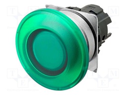 Switch: push-button; 22mm; Stabl.pos: 1; mushroom; Pos: 2